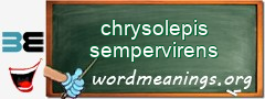 WordMeaning blackboard for chrysolepis sempervirens